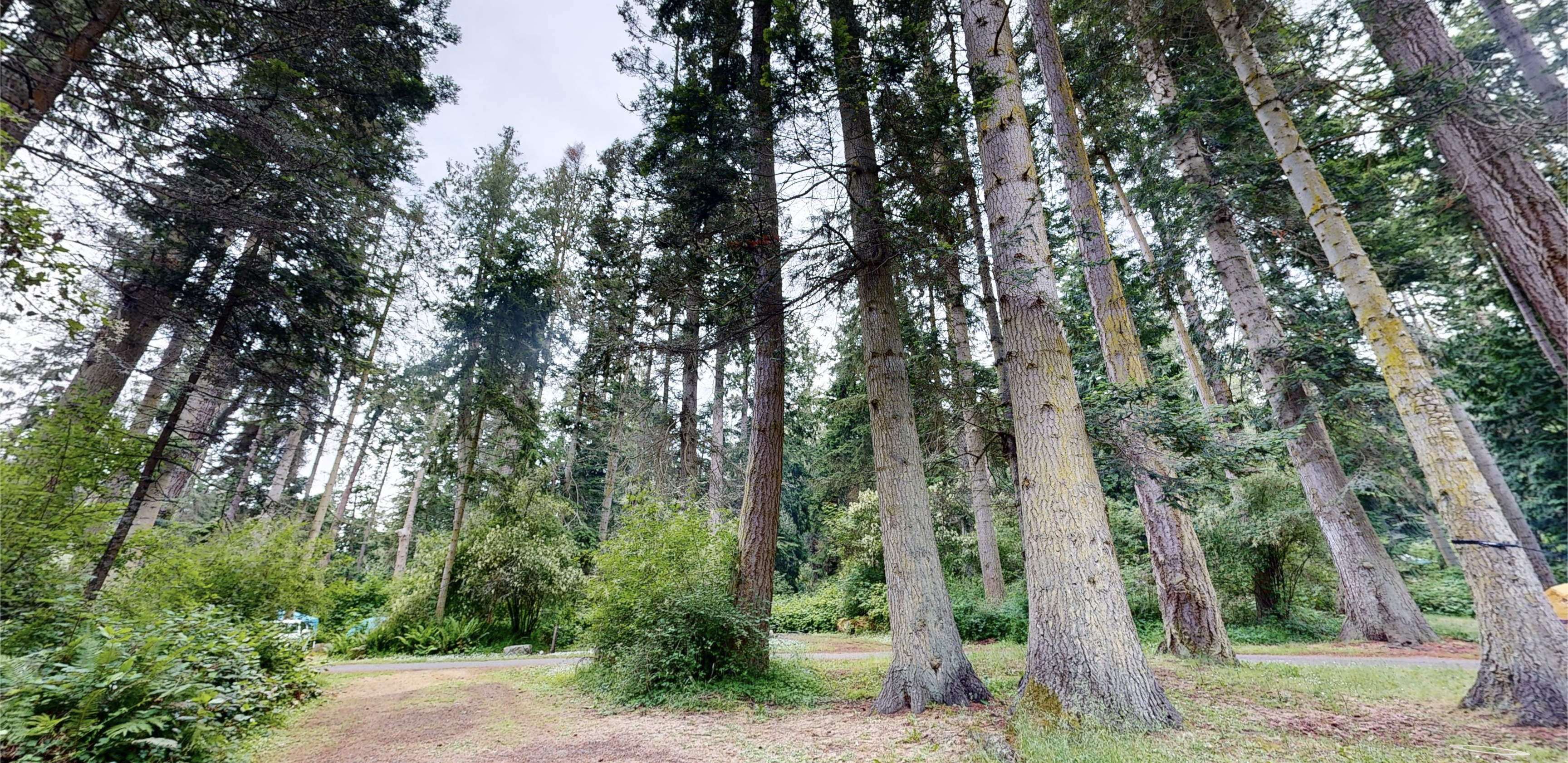 Outdoor Events 3D Scan