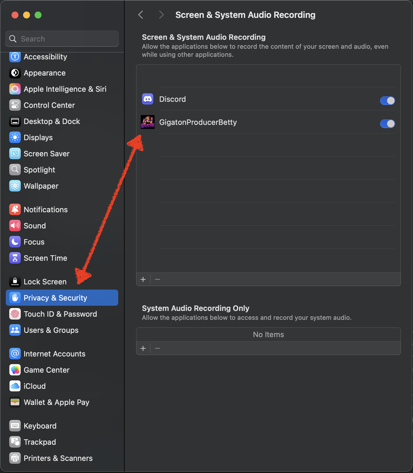 System Settings - Screen Recording permission for Producer Betty